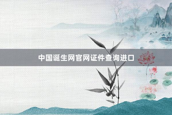 中国诞生网官网证件查询进口