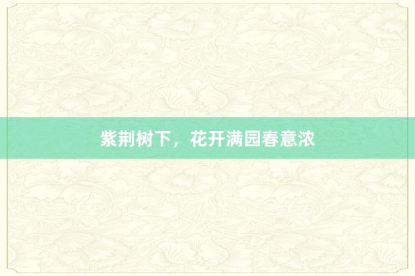 紫荆树下，花开满园春意浓